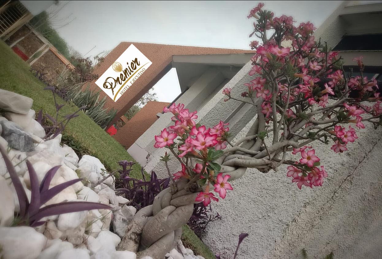 Hotel Premier Rio Verde Ngoại thất bức ảnh